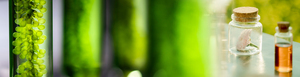 ECOHIMLAB.RU