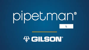 GILSONPIPETMAN.RU